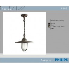 8305 Philips - Pasture pendul exterior